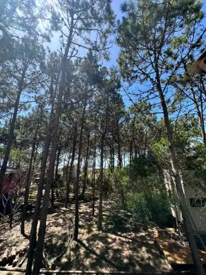 Casas|Cabanas|Aptos|Complexos ... JUANILLOS 2 Punta del Diablo