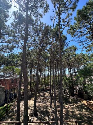 Casas|Cabanas|Aptos|Complexos ... JUANILLOS 2 Punta del Diablo