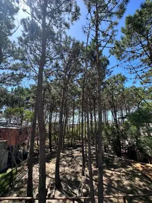 Casas|Cabanas|Aptos|Complexos ... JUANILLOS 2 Punta del Diablo