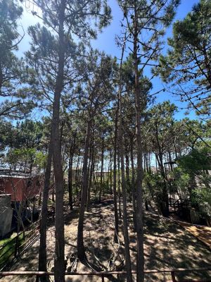 Casas|Cabanas|Aptos|Complexos ... JUANILLOS 2 Punta del Diablo