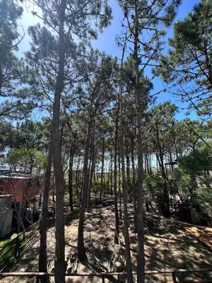 Casas|Cabanas|Aptos|Complexos ... JUANILLOS 2 Punta del Diablo