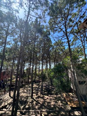 Casas|Cabanas|Aptos|Complexos ... JUANILLOS 2 Punta del Diablo