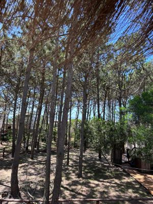 Casas|Cabanas|Aptos|Complexos ... JUANILLOS 2 Punta del Diablo