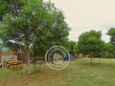 Campsites Mini camping El Guachaqui  Punta del Diablo