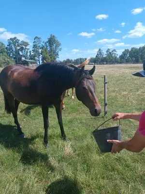 Chacra Casa Rural El Coronilla San José