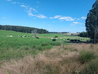 Chacra Casa Rural El Coronilla San José
