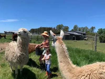 Chacra Casa Rural El Coronilla San José