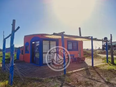 Cactus - Cabo Polonio