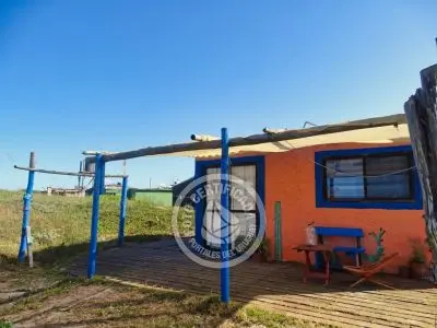 Cactus - Cabo Polonio