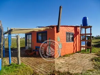 Cactus - Cabo Polonio