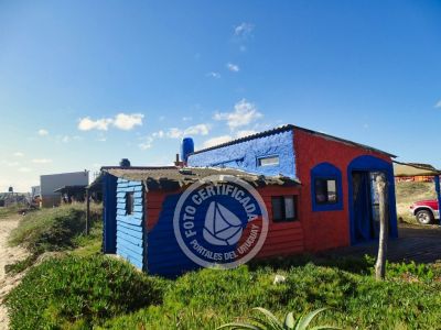 Cactus - Cabo Polonio