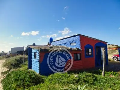 Cactus - Cabo Polonio