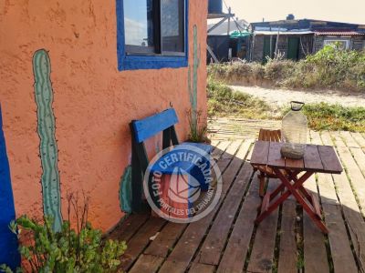 Cactus - Cabo Polonio .- Foto del 12/1/24, 16:58