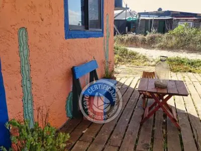 Cactus - Cabo Polonio