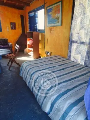 Cactus - Cabo Polonio