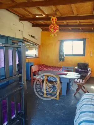 Cactus - Cabo Polonio