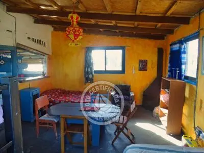 Cactus - Cabo Polonio