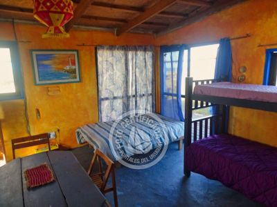 Cactus - Cabo Polonio .- Foto del 12/1/24, 17:10