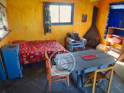 Cactus - Cabo Polonio