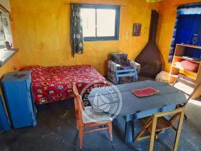 Cactus - Cabo Polonio