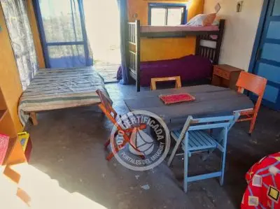 Cactus - Cabo Polonio