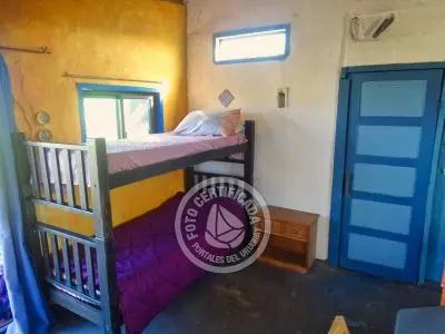 Cactus - Cabo Polonio