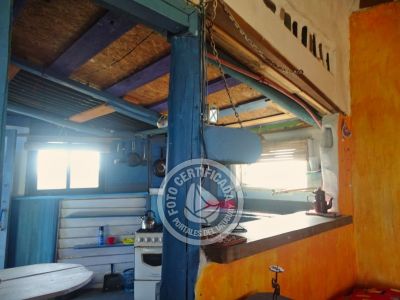 Cactus - Cabo Polonio