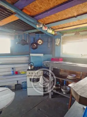 Cactus - Cabo Polonio