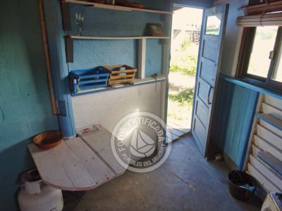 Cactus - Cabo Polonio