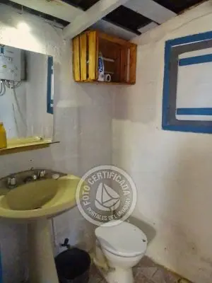 Cactus - Cabo Polonio