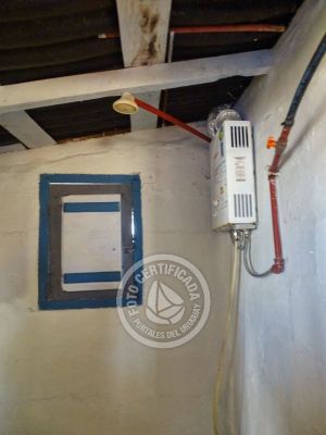 Cactus - Cabo Polonio