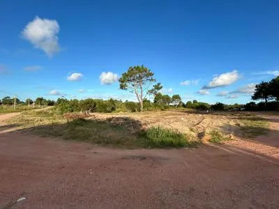 Oportunidad de inversión 3 terrenos en zona La Viuda  M.71 