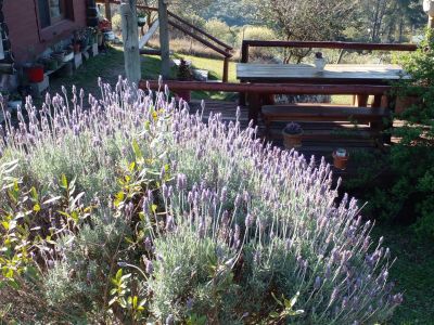 Cafetería Quiero! Té y café - Meriendas Villa Serrana