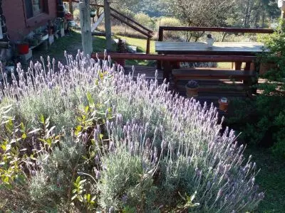 Cafetería Quiero! Té y café - Meriendas Villa Serrana