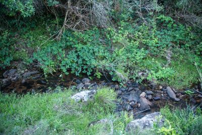 Cabin Cabaña Aurora Villa Serrana