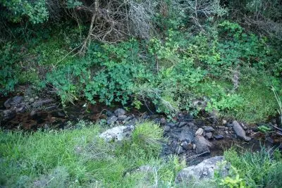 Cabin Cabaña Aurora Villa Serrana