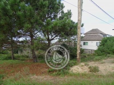 Lotes Terreno M535 S1 Punta del Diablo