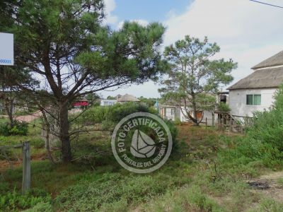Lotes Terreno M535 S1 Punta del Diablo