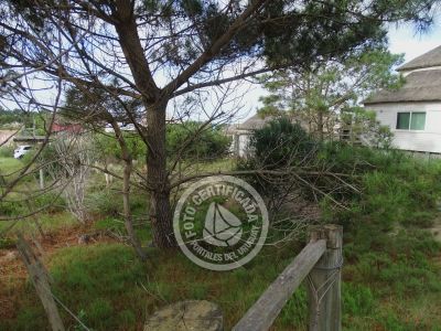 Lotes Terreno M535 S1 Punta del Diablo