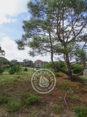 Lotes Terreno M535 S1 Punta del Diablo