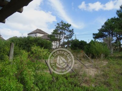 Lotes Terreno M535 S1 Punta del Diablo