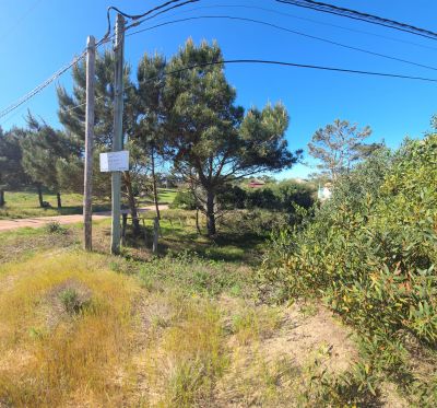 Lotes Terreno M535 S1 Punta del Diablo