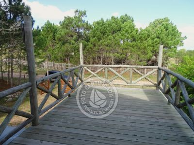 El balcón del diablo - punta del diablo