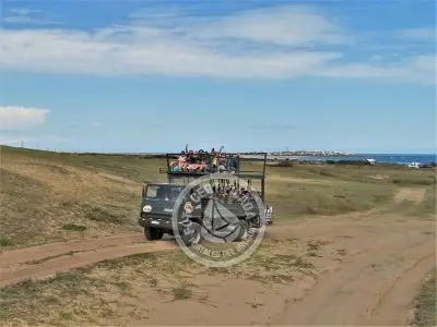 Agencia El Francés / Acá Polonio - transporte, grupos y excursiones a Cabo Polonio