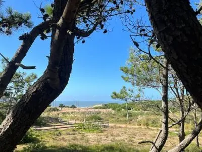 Terreno con Vista al Mar - Playa la Viuda M177  S5 - Zona Residencial 