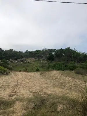 M260 S12y13 - Punta del Diablo