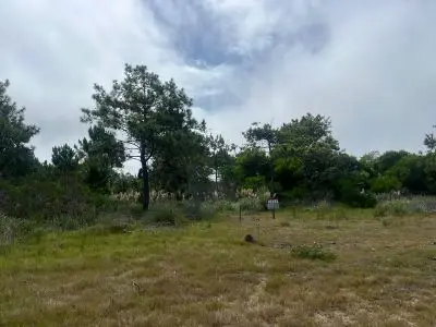 TERRENOS M260 Solares 12 y 13 - Zona Playa La Viuda