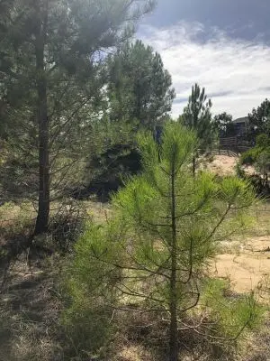 M234 S8 - Punta del diablo