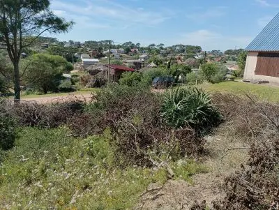 M.109 Solar 20, terreno alto en la viuda