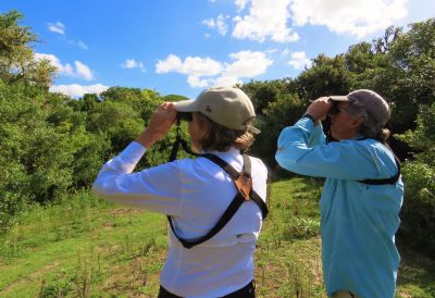 Passeio e Atividades Monte de ombúes-Barra Grande  Castillos